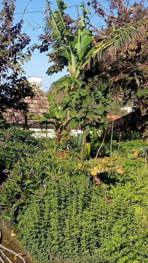 Casa Reizinho Βίλα Santana  Santana (Madeira)
